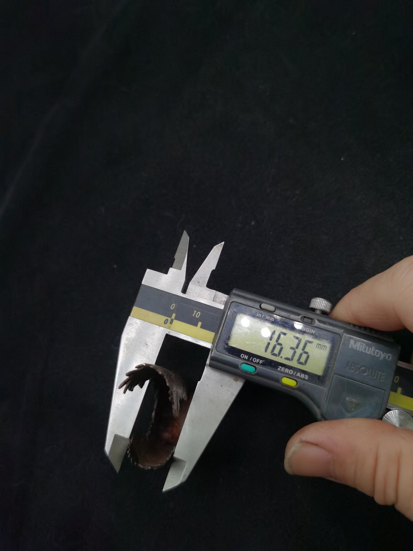 Japanese Type Black Chrysanthemum Mon Kojiri for wakziashi Y033