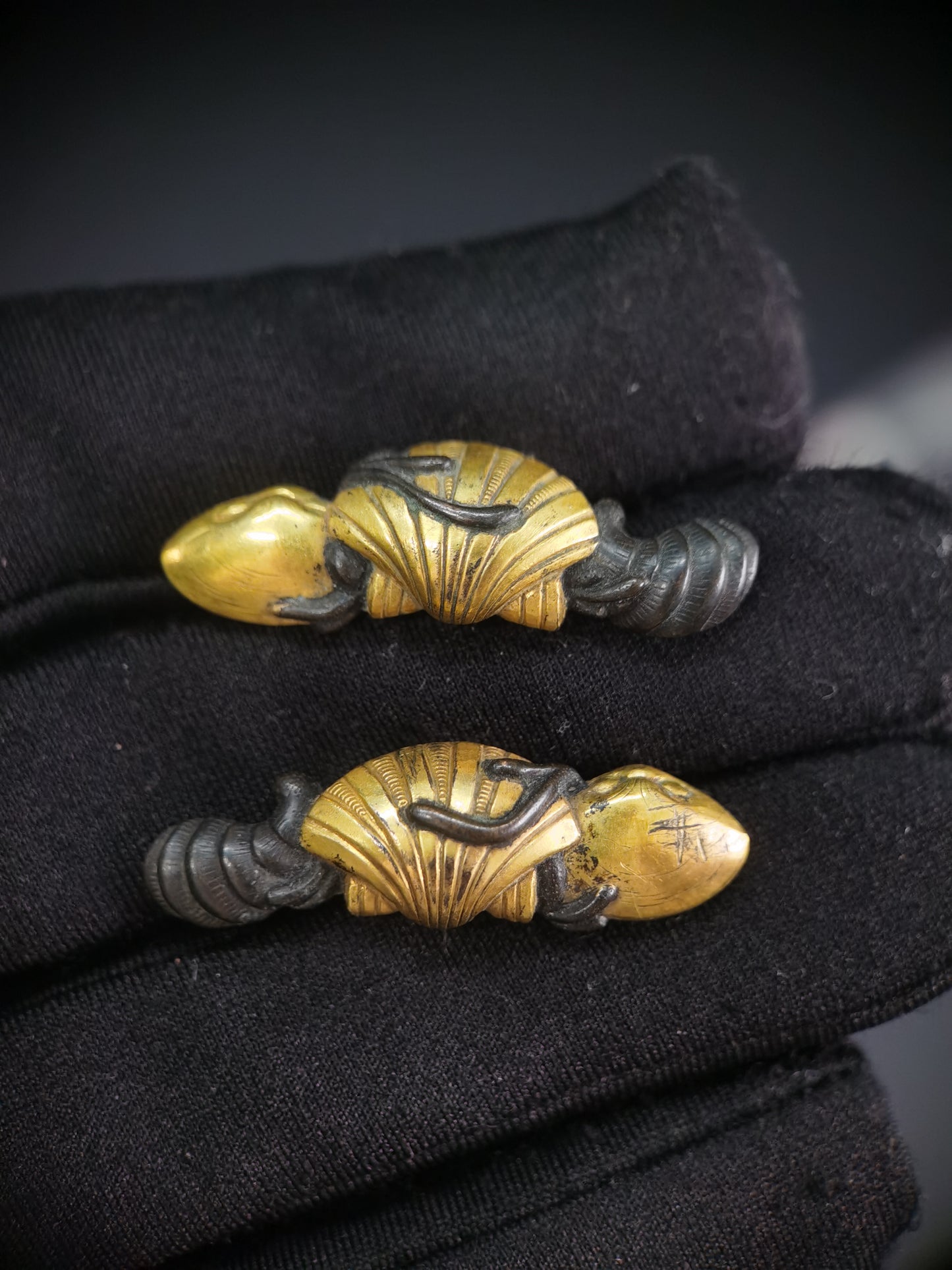 Japanese Type Shell Menuki for Katana and Wakziashi Edo Period Antique C088