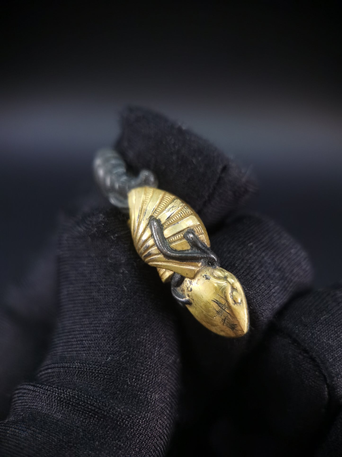 Japanese Type Shell Menuki for Katana and Wakziashi Edo Period Antique C088